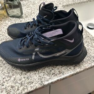 Nike Pegasus Trail 4 Gore-TEX Women's Waterproof Trail Running Shoes